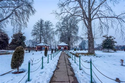 116 Mughal Shalimar Garden Srinagar Stock Photos Free And Royalty Free