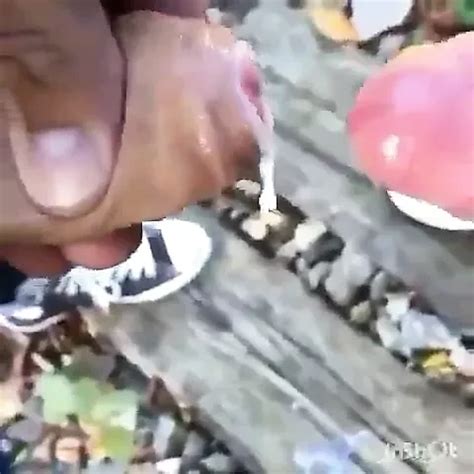 Nice Docking Gay Amateur Amateur Porn XHamster