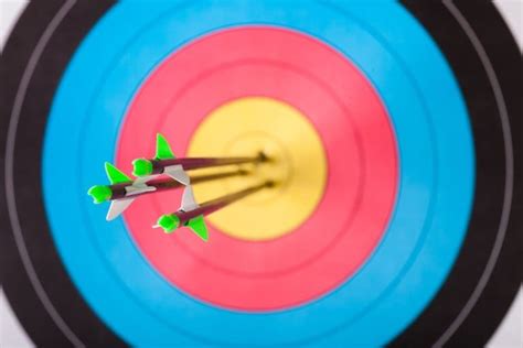 What are the Different Types of Archery Targets? - The Complete Guide ...