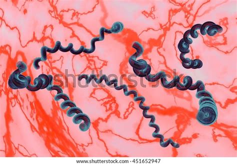 Lyme Disease Borreliosis Disease Borrelia 3d Stock Illustration 451652947