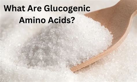 What Are Glucogenic Amino Acids Everything You Need To Know