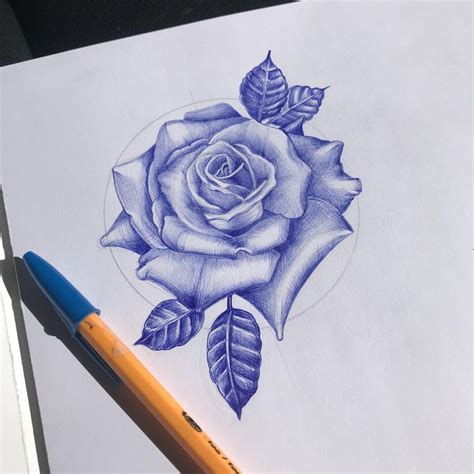 Blue Rose Drawing with Pencil