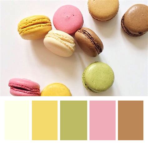 Macaron Palette Macaroons Colorful Macarons Macarons