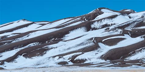 A Tree Falling: Great Sand Dunes: Winter