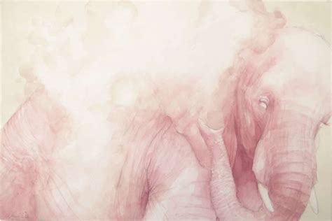 The Elephant in the Room on Behance