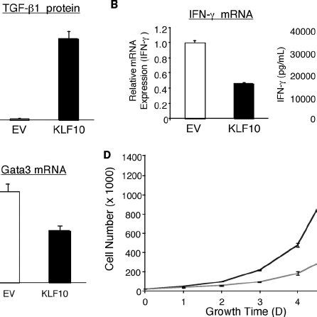 KLF10 Overexpression Induces TGF 1 Expression In CD4 CD25 T