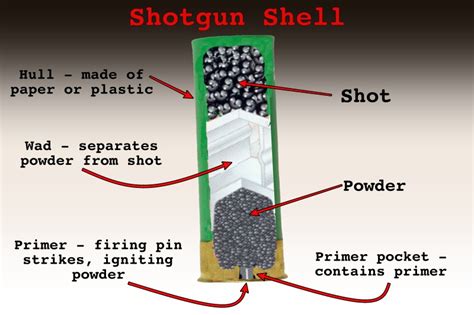 What is Buckshot? - Lee Lofland