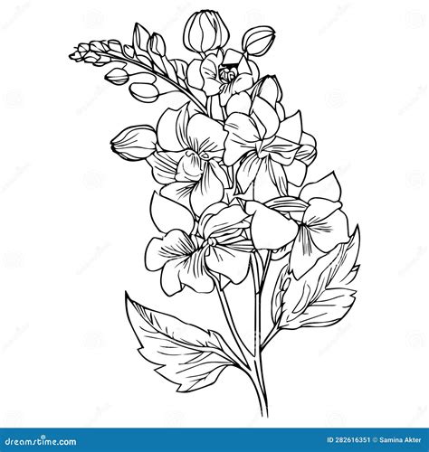 Pencil Delphinium Drawing, July Birth Flower Larkspur Drawing ...