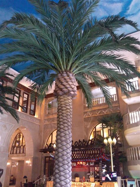 Outdoor Artificial Date Palm Saudi Arabia Palm Tree Tops Date Palm ...