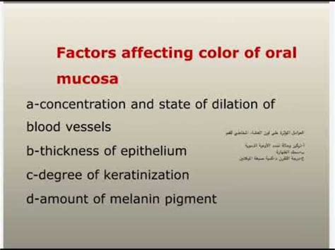 Oral Histology Lec Part Oral Mucosa Membrane