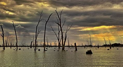 Lake Mulwala at sunset - Dianne Yoong