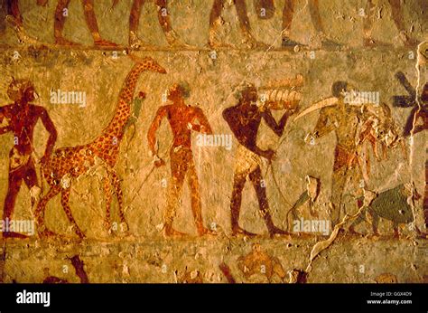 Hatshepsut Tomb Paintings