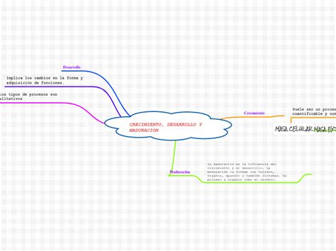 Crecimiento Desarrollo Y Maduraci N Mind Map