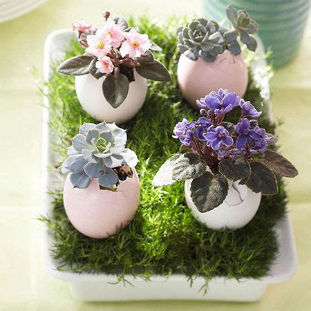 Katie Brown | Easter Egg Decor