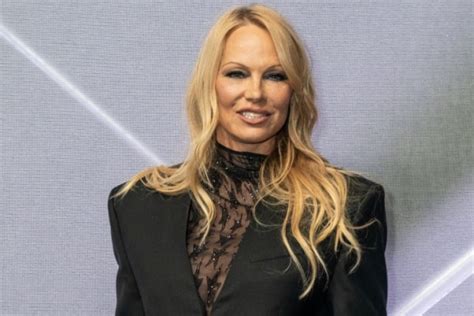 Reports Pamela Anderson Set To Join Liam Neeson In Naked Gun Remake