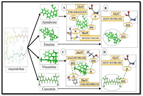 A The Complex Shows Interacting Amino Acid Residues And Hydrogen