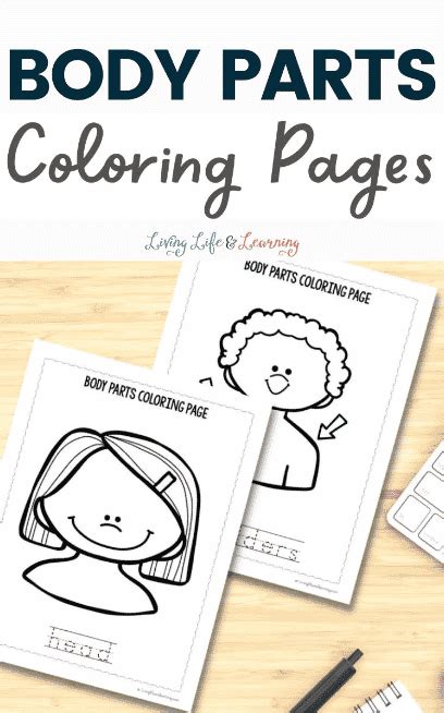 Body Parts Coloring Pages | Free Homeschool Deals