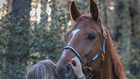 Fundraiser By Lilian En Tos Olischlager Geef Het Paard Boaz Van Onze