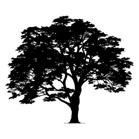 Premium Vector Oak Tree Silhouette Vector Illustration