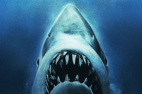 Sharksploitation: Feel the Groove According to 'Jaws'