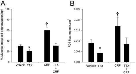 The Role Of The Enteric Nervous System In Crf Mediated Mast Cell Download Scientific Diagram