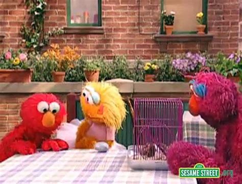 Sesame Street Best Pet In The World Dailymotion Video