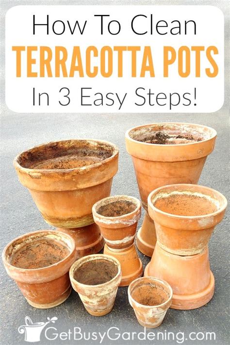 How To Clean Terracotta Clay Pots In 3 Easy Steps! - Get Busy Gardening