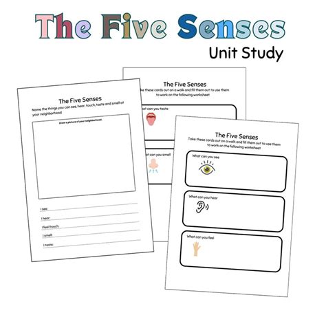 Science Curriculum Five Senses Unit Study Homeschooling Preschool ...