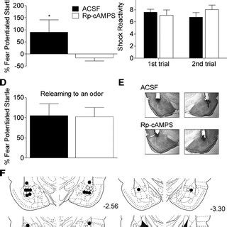 Blockade Of Noradrenergic Receptors In IL Impairs Extinction Memory