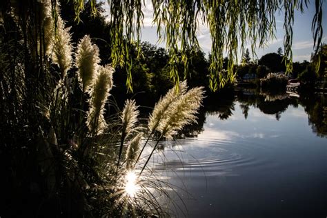 Jean Marc GENÉ sur Instagram Balade le long du canal du Midi