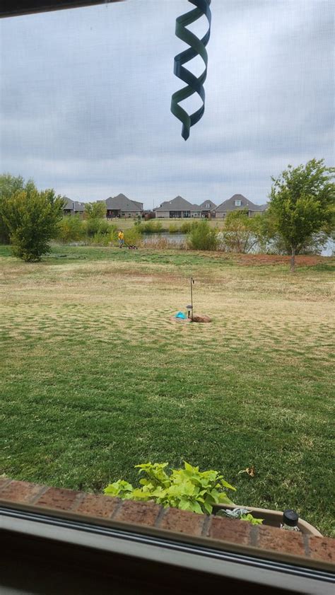 20221102 133644 Laban Mowing Mounds Greenbelt Laban West Flickr