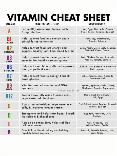 Vitamin Cheat Sheet Etsy Australia