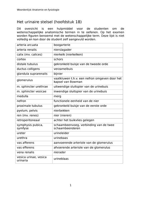 Woordenlijst Het Urinaire Stelsel Woordenlijst Anatomie En Fysiologie