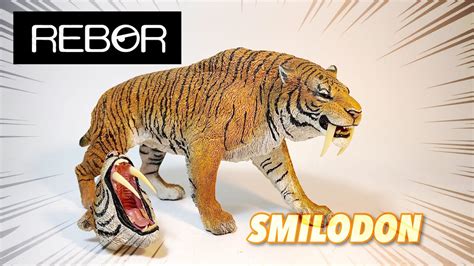 REVIEW REBOR SMILODON TIGER MÔ HÌNH HỔ RĂNG KIẾM SIÊU ĐẸP SIÊU NGẦU