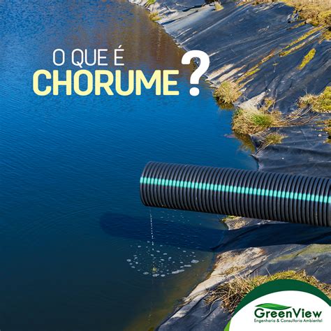 O Que Significa Chorume - O que é Chorume ? GreenView Engenharia & Consultoria Ambiental