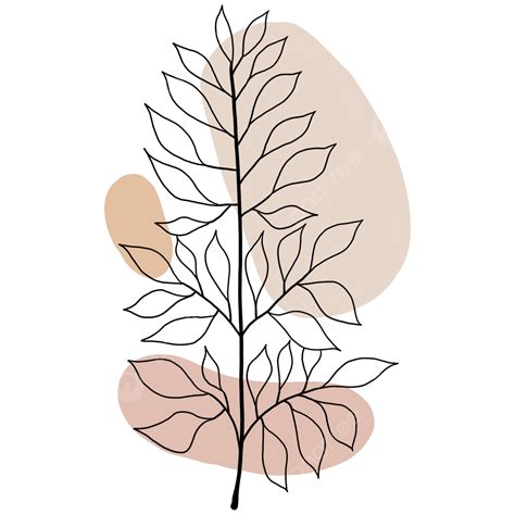 Aesthetic Line Art Png Image Abstract Planting Line Art Aesthetics