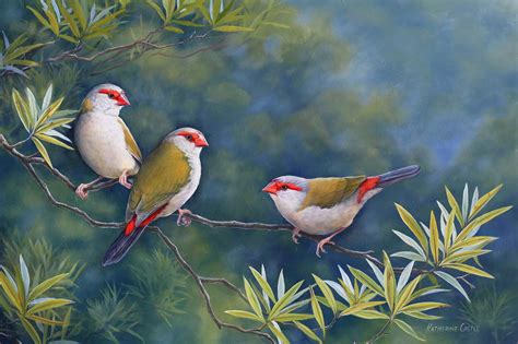 Wildlife Art Work – Bird Paintings – Wildlife Prints – Greeting Cards ...