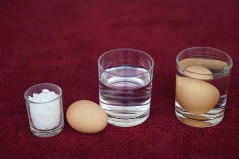 Primer Experimento De La Ciencia Sobre Los Huevos En El Agua Comparar