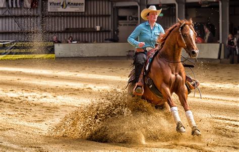 5 Weird Reining Stop Tips That Actually Work - Horse Rookie