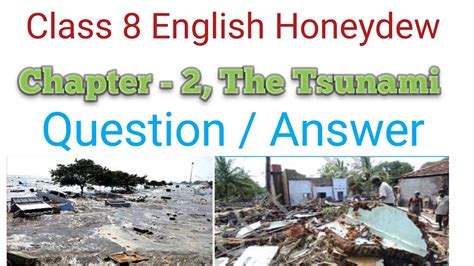 The Tsunami Question Answer Ncert Solutions For Class 8 English Chapter 2 Chapter 2