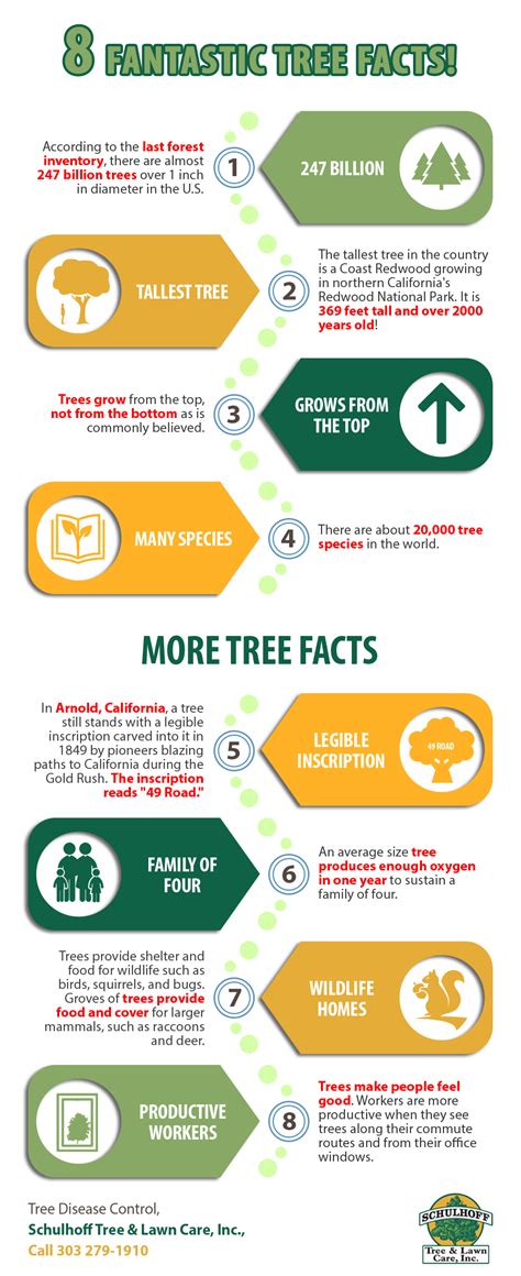 fantastic tree facts shared info graphics