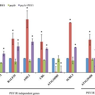 Validation Of Microarray Data Through QRT PCR Of Selected Genes The