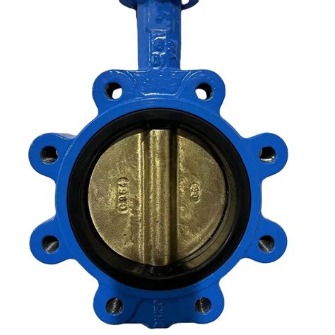 Manual Operation Lug Butterfly Valve Ductile Iron Stainless Steel Ss304