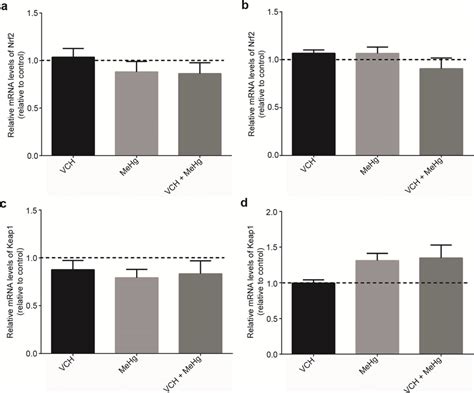 Expression Of The Genes Encoding Nrf And Keap Mrna Levels Of Nrf In