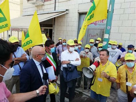 In Molise 40mila Cinghiali E Un Milione Di Danni Coldiretti Protesta