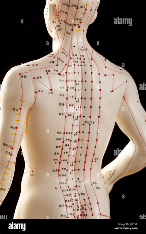 Les Points D Acupuncture Photo Stock Alamy