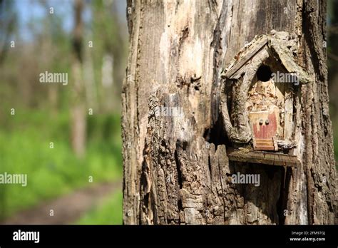 Small Birdhouse On A Tree In Overland Park Arboretum And Botanical