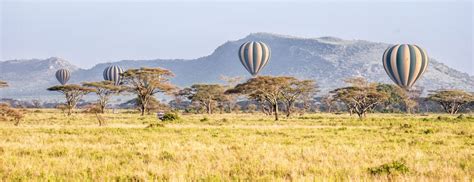 When is the Best Time to Visit Tanzania? | Tanzania Safaris Tours