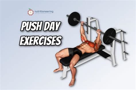 List of 40 Best Push Day Exercises for Upper & Lower Body