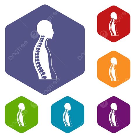 Human Spine Clipart Png Images Human Spine Icons Set Hexagon Human